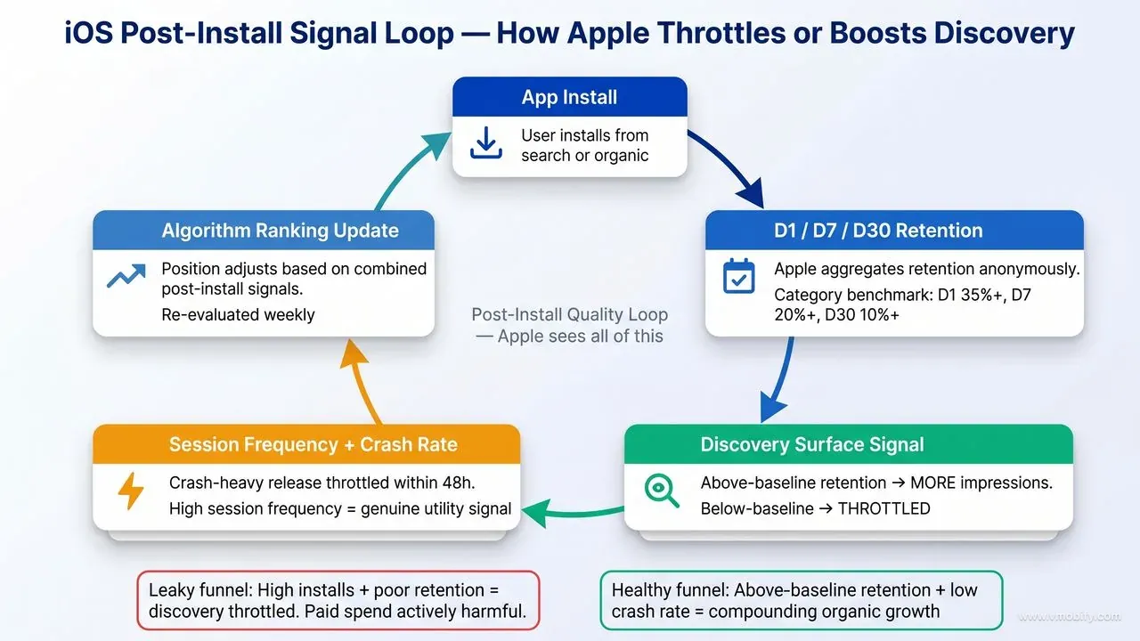 Apple's post-install quality loop feeds directly into discovery throttling: above-baseline D1/D7/D30 retention earns more impressions; below-baseline signals suppress them.