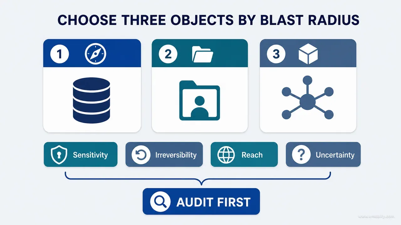 Three critical data objects selected by sensitivity, irreversibility, reach and uncertainty